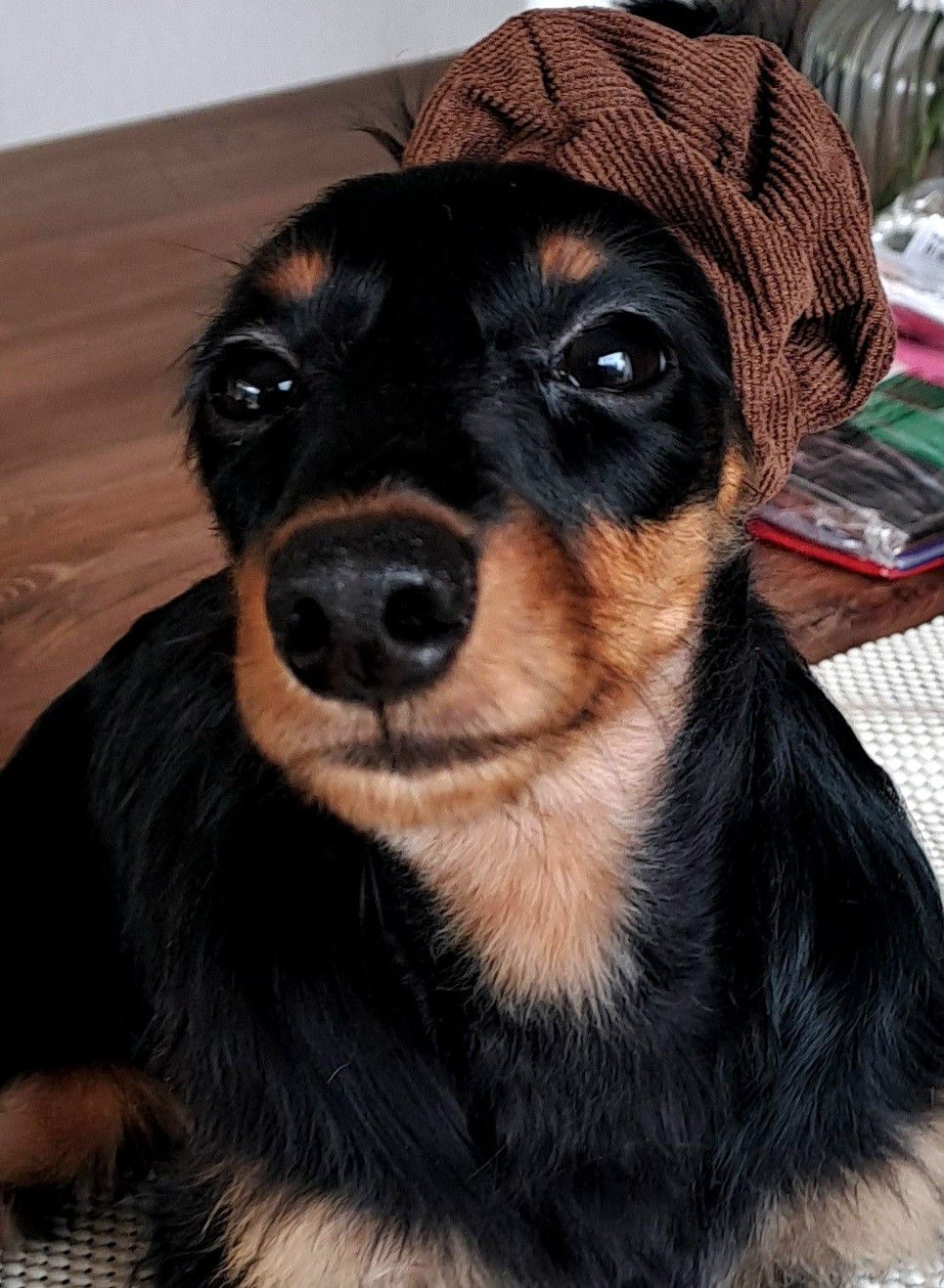 Publication : Ever Single 