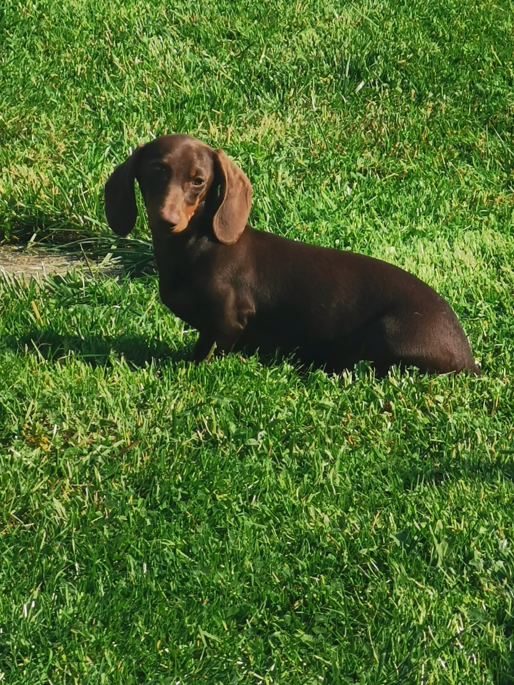 Publication : du Domaine de la Ternoise 