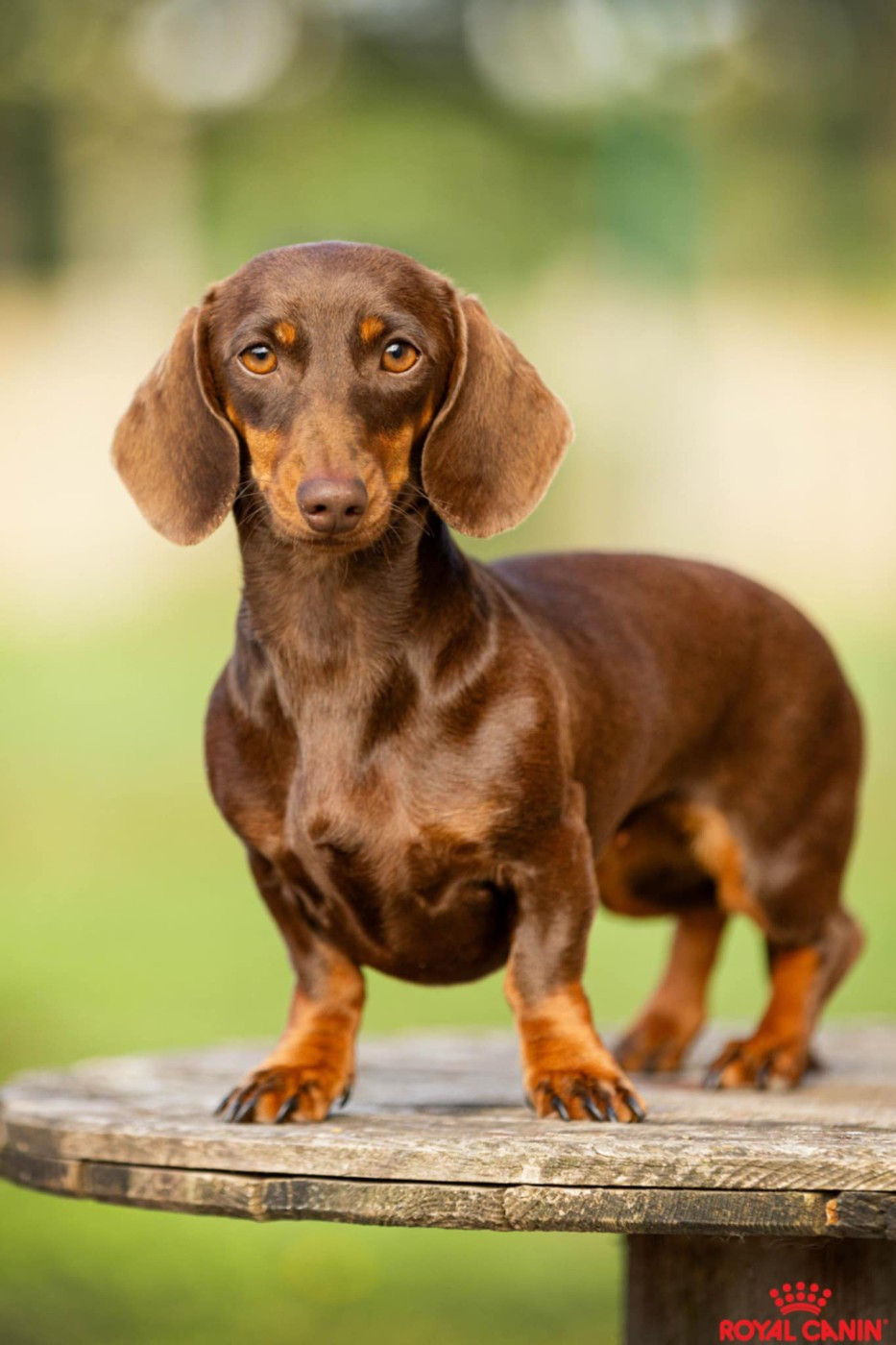 Publication : du Domaine de la Ternoise 