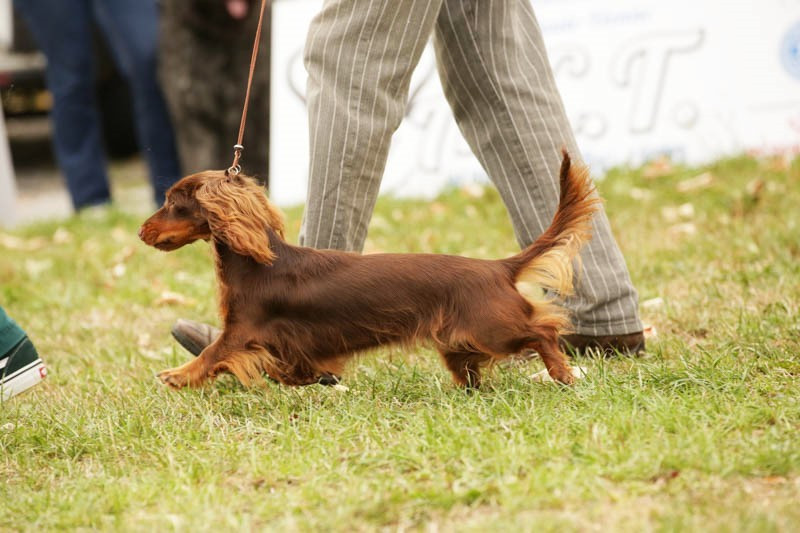 Publication : du domaine de luard 