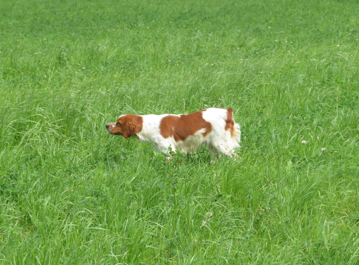 Publication : De la plaine marat 