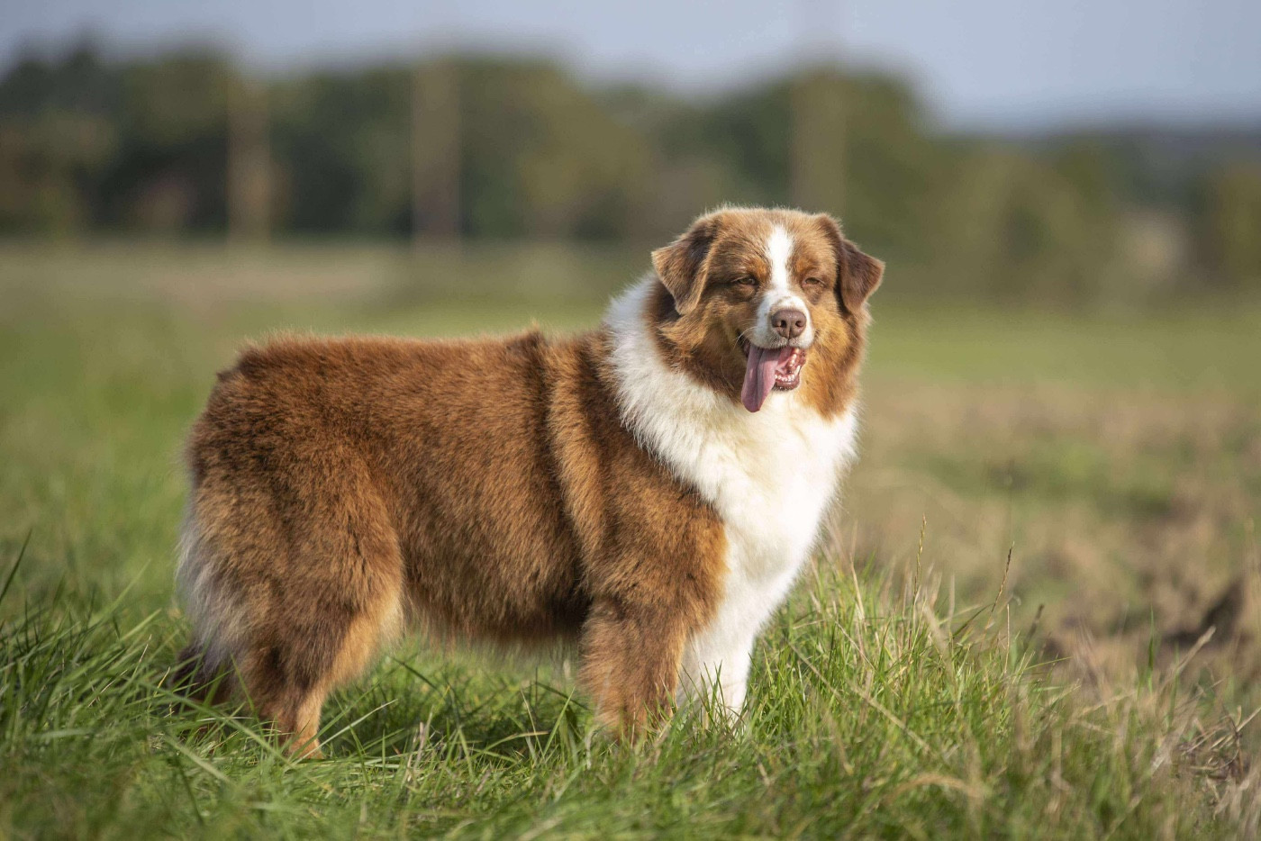 Publication : du Feeling de Nolister