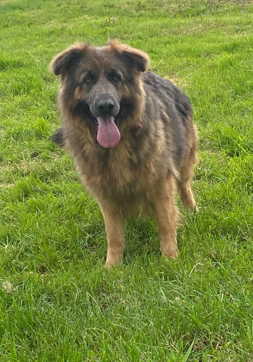 Publication : du Domaine de la Ternoise