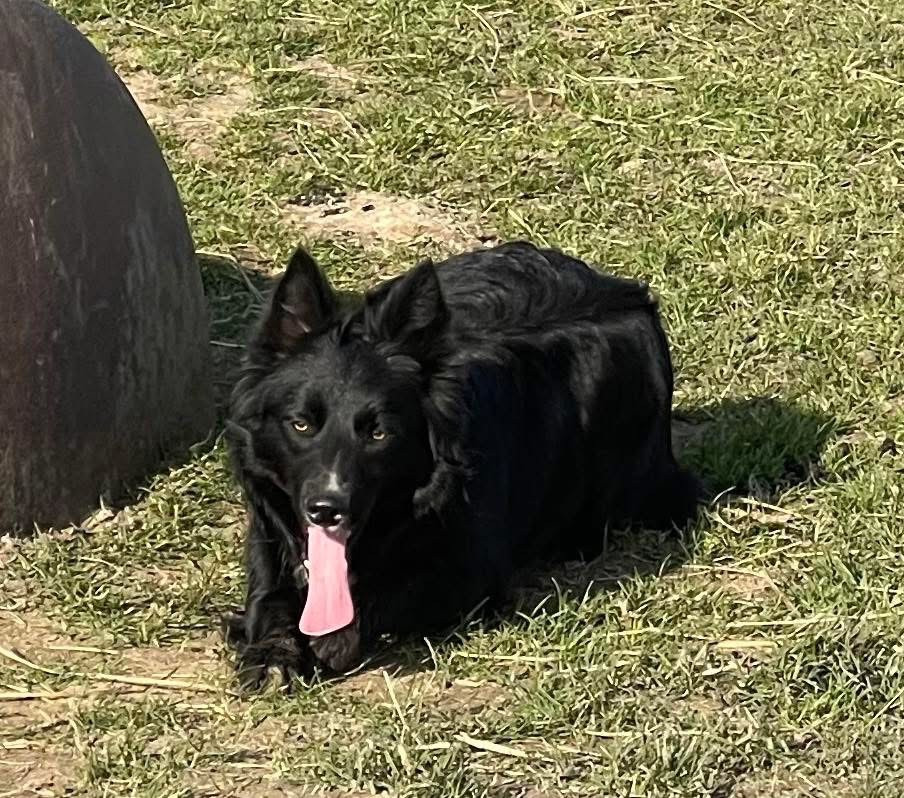 Publication : du Masque Noir de Vandrimare 