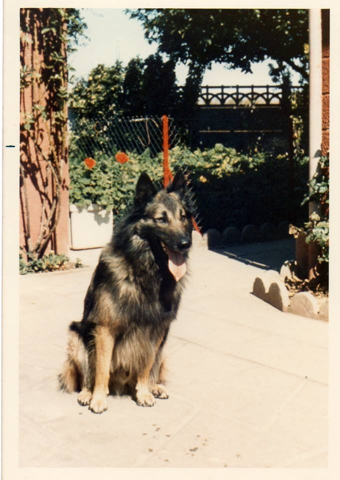 Phurax du Parc de l'Hay