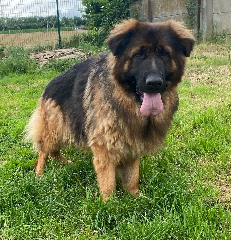 Publication : du Domaine de la Ternoise 