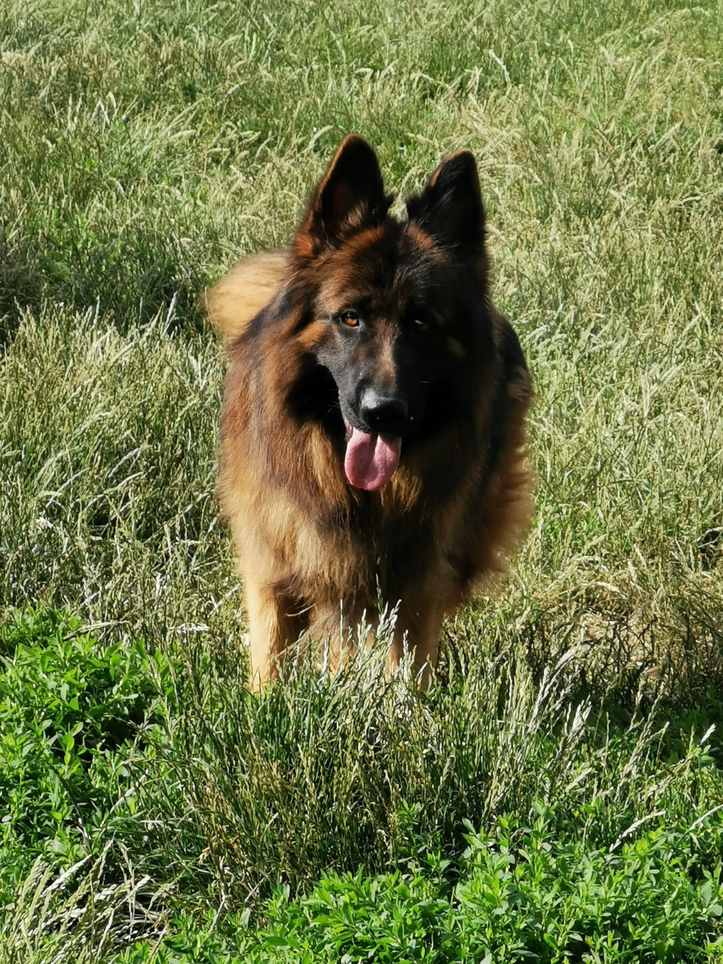 Publication : du Domaine de la Ternoise 