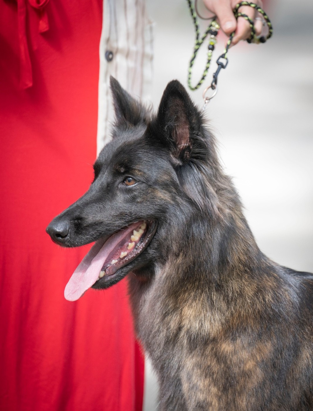 Publication : De La Maison Trinity Auteur : By JIMM Production