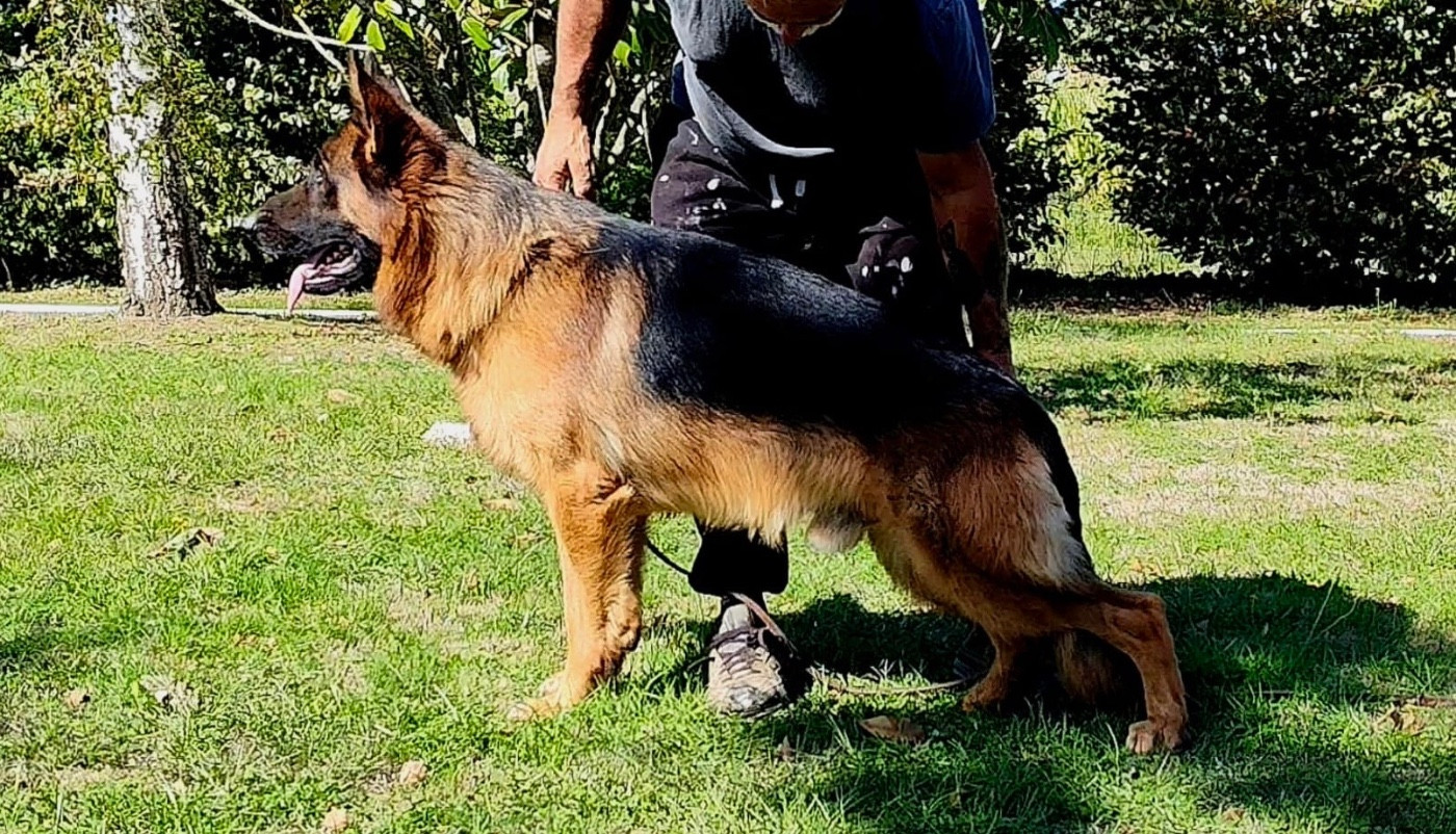 Publication : Des marais d'elesmes Auteur : E Chandelier Marais d Elesmes