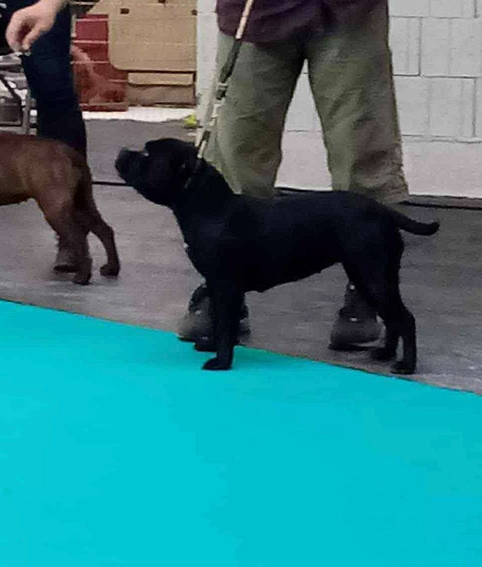 Publication : Of Secret's Sources 