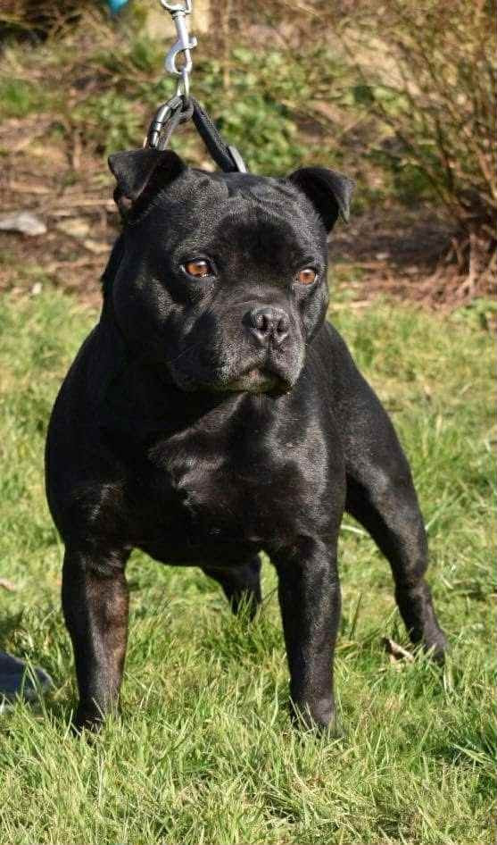 Publication : Of Secret's Sources