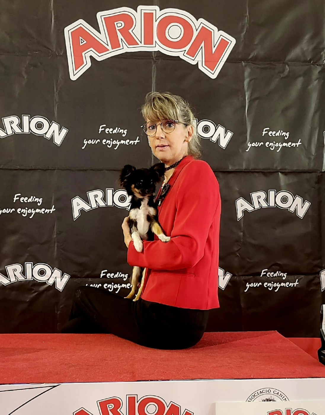 Publication : De La Plaine D'illiberis