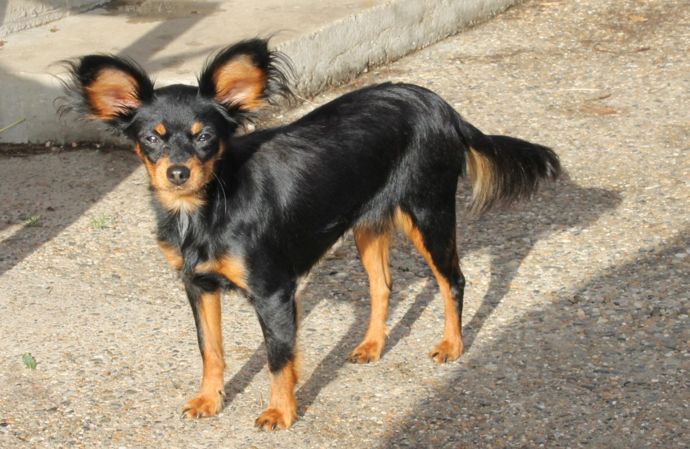 Publication : Divine Manoune Auteur : Divine Manoune