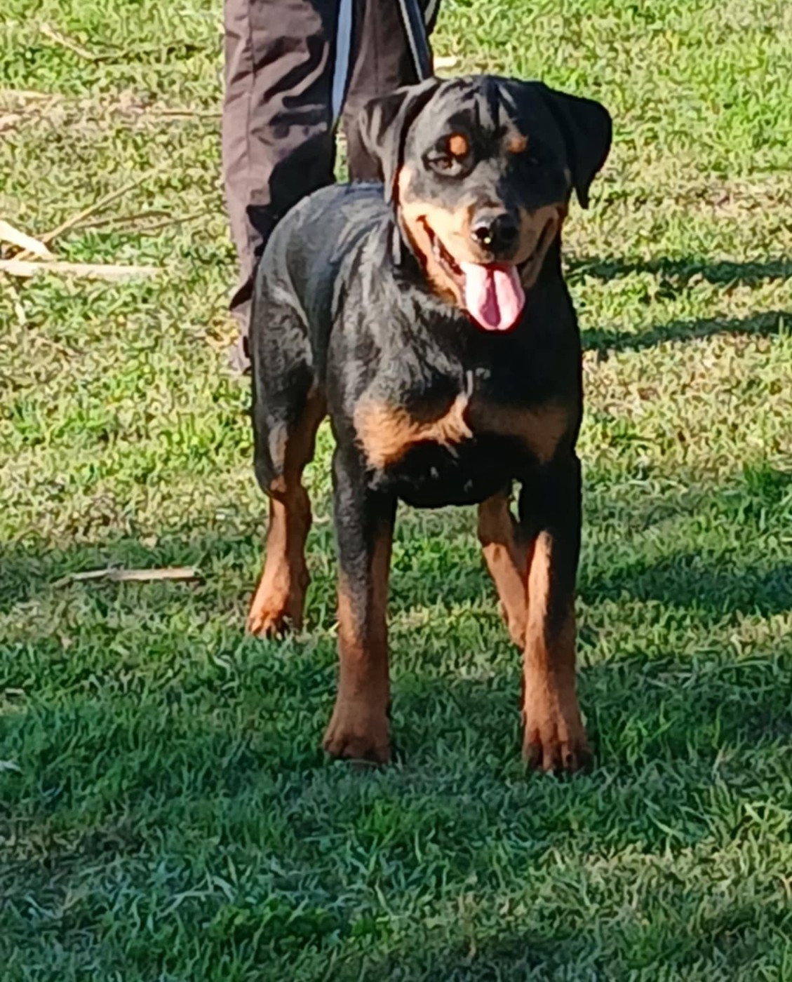 Publication : de l'Empreinte d'Osiris 