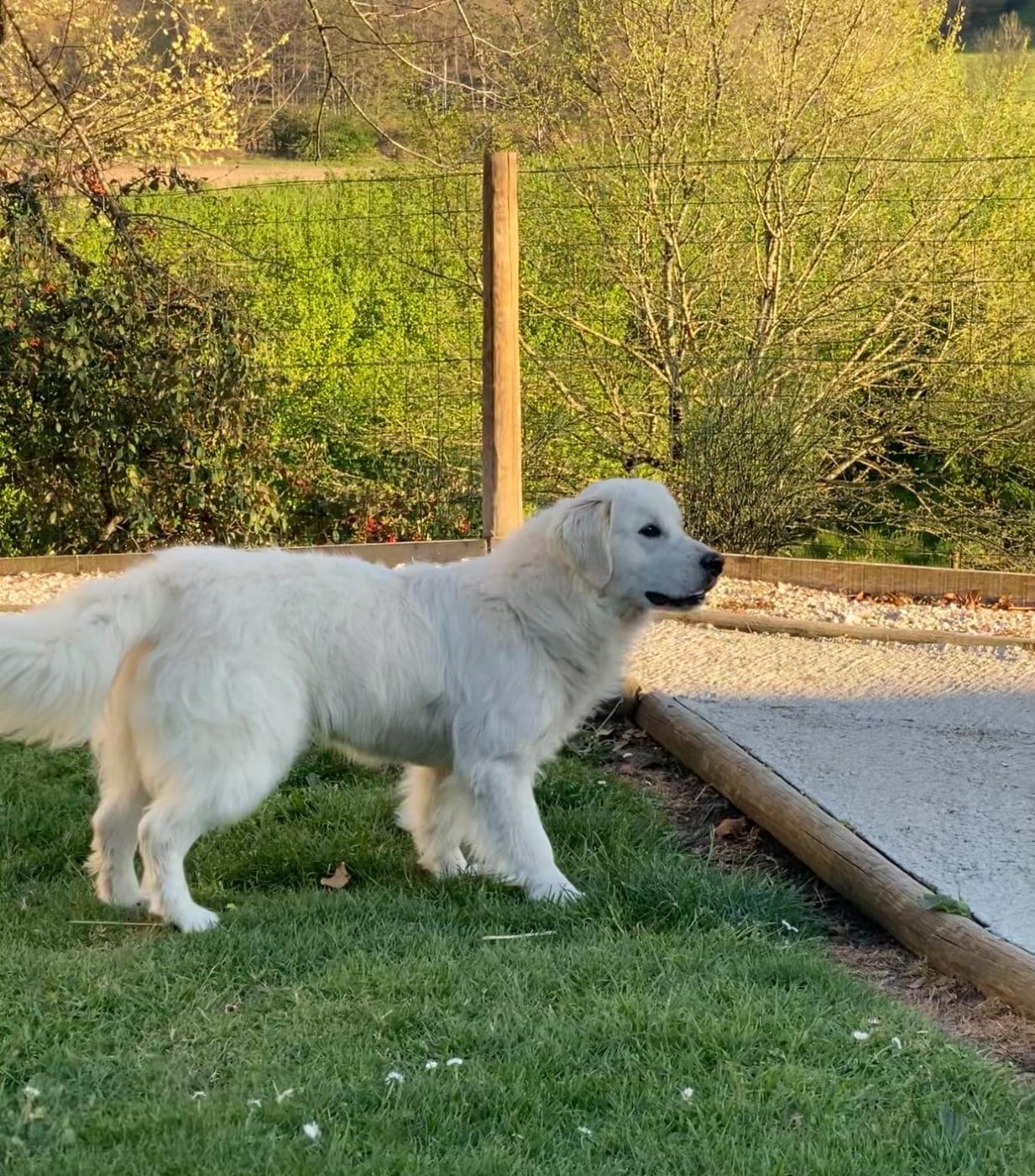 Publication : Du Clos De Compostelle