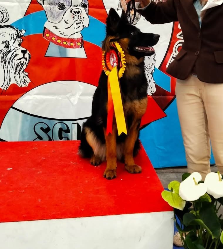 Publication : Joyau De Bohême 