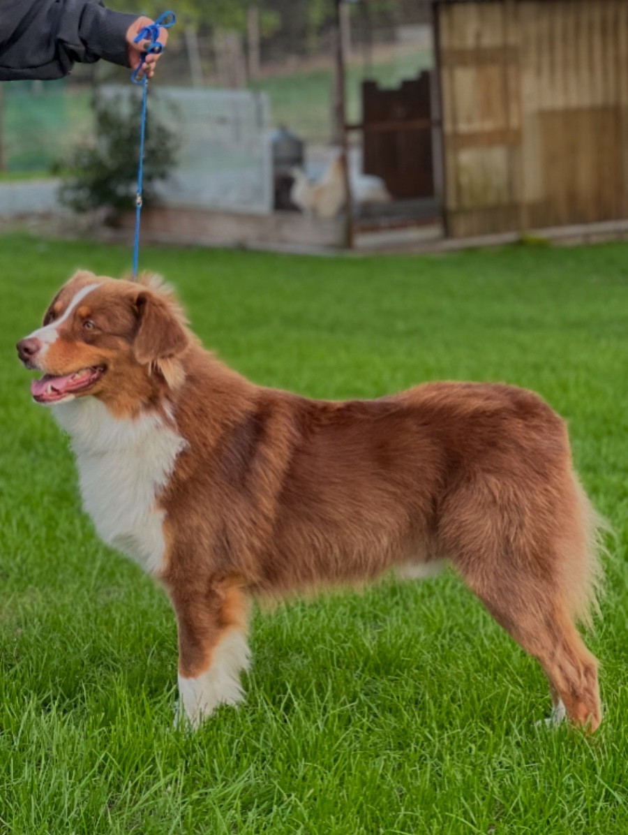 Publication : du clos du lambon 