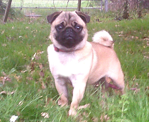 Publication : Nostalgie de France Auteur : Nostalgie de France