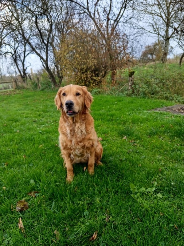 Publication : des fields d'est