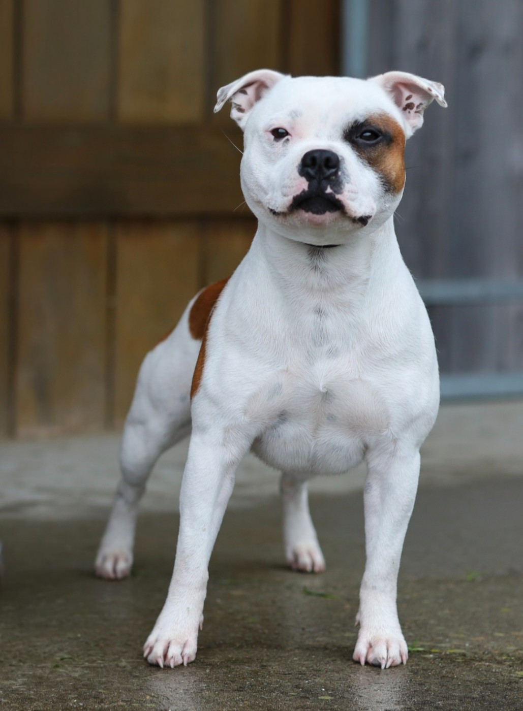 Publication : Du Domaine Des Juraires