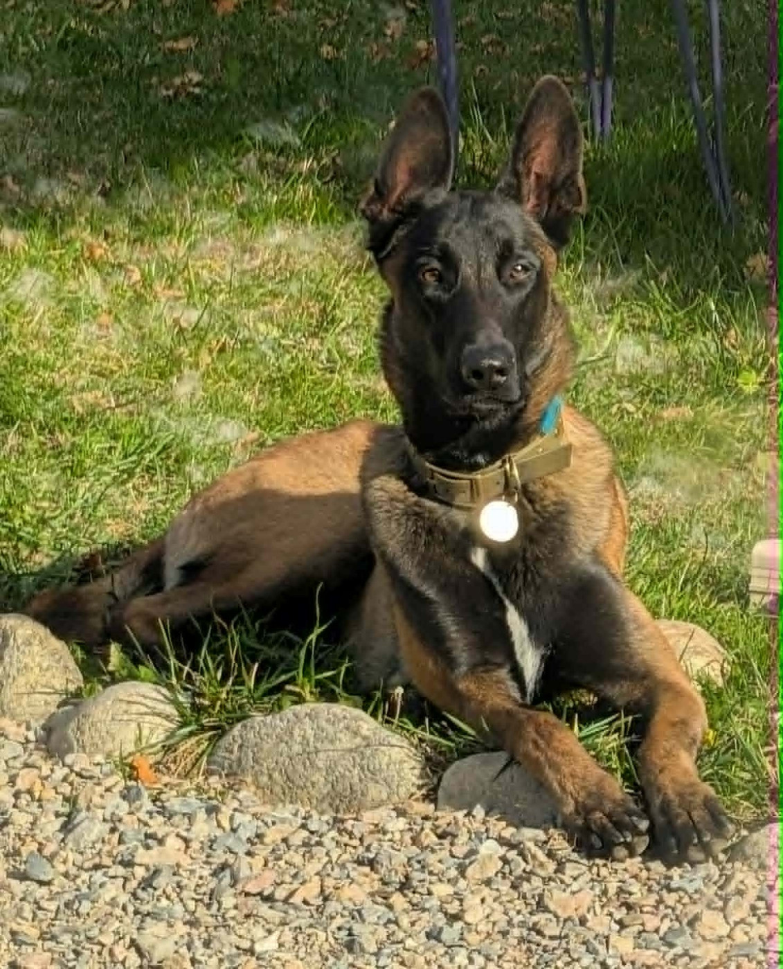 Publication : des vignes du Roussillon