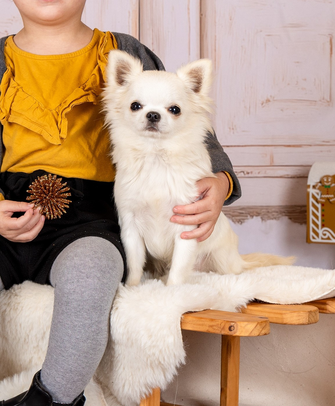 Publication : des Terres de la Faisanderie Auteur : Laurenne PROD'HON