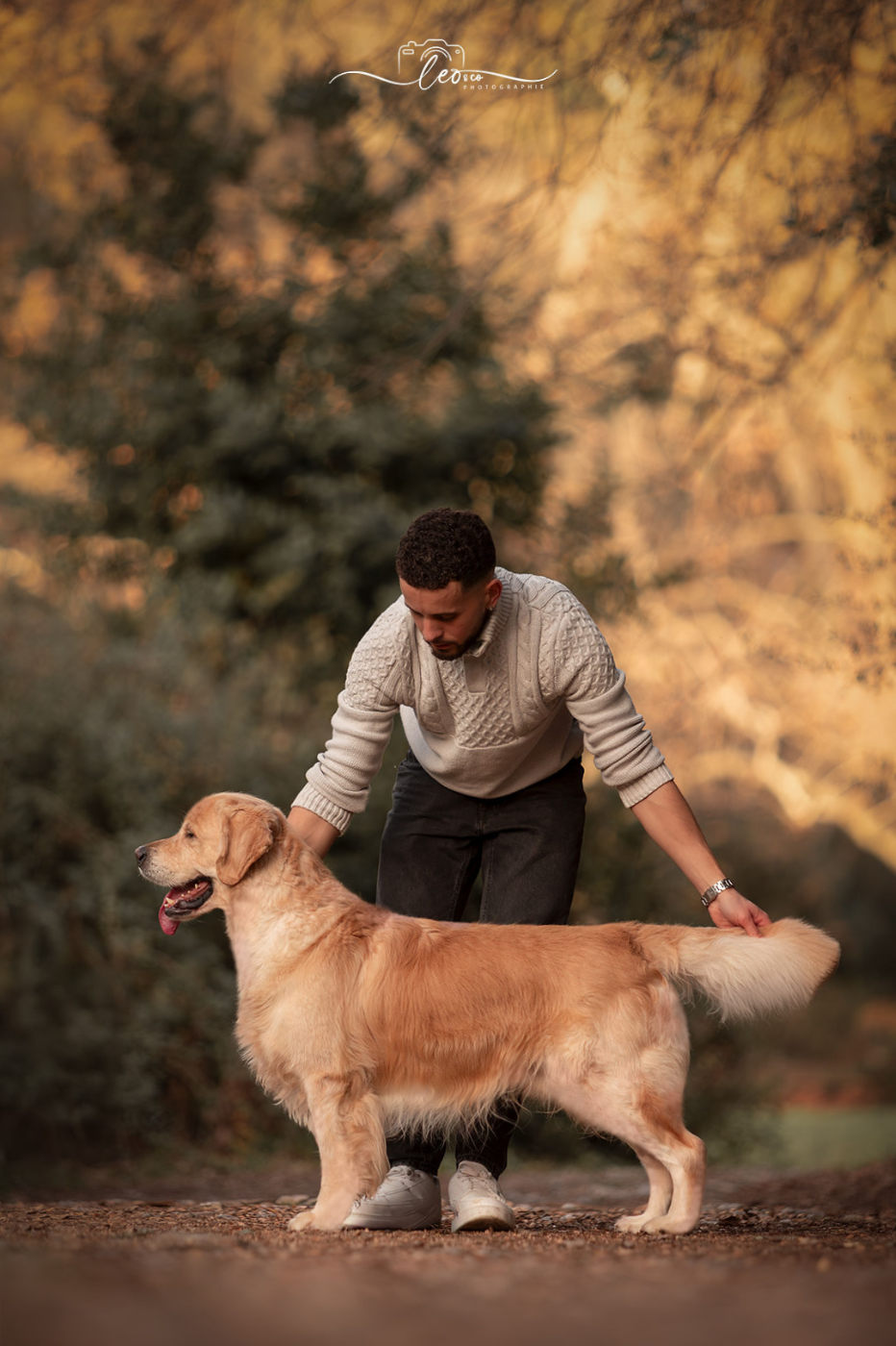 Publication : Of Gold Forever Auteur : OF GOLD FOREVER