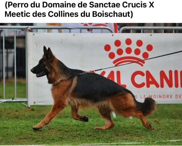 Publication : Du Chemin De L'Odon