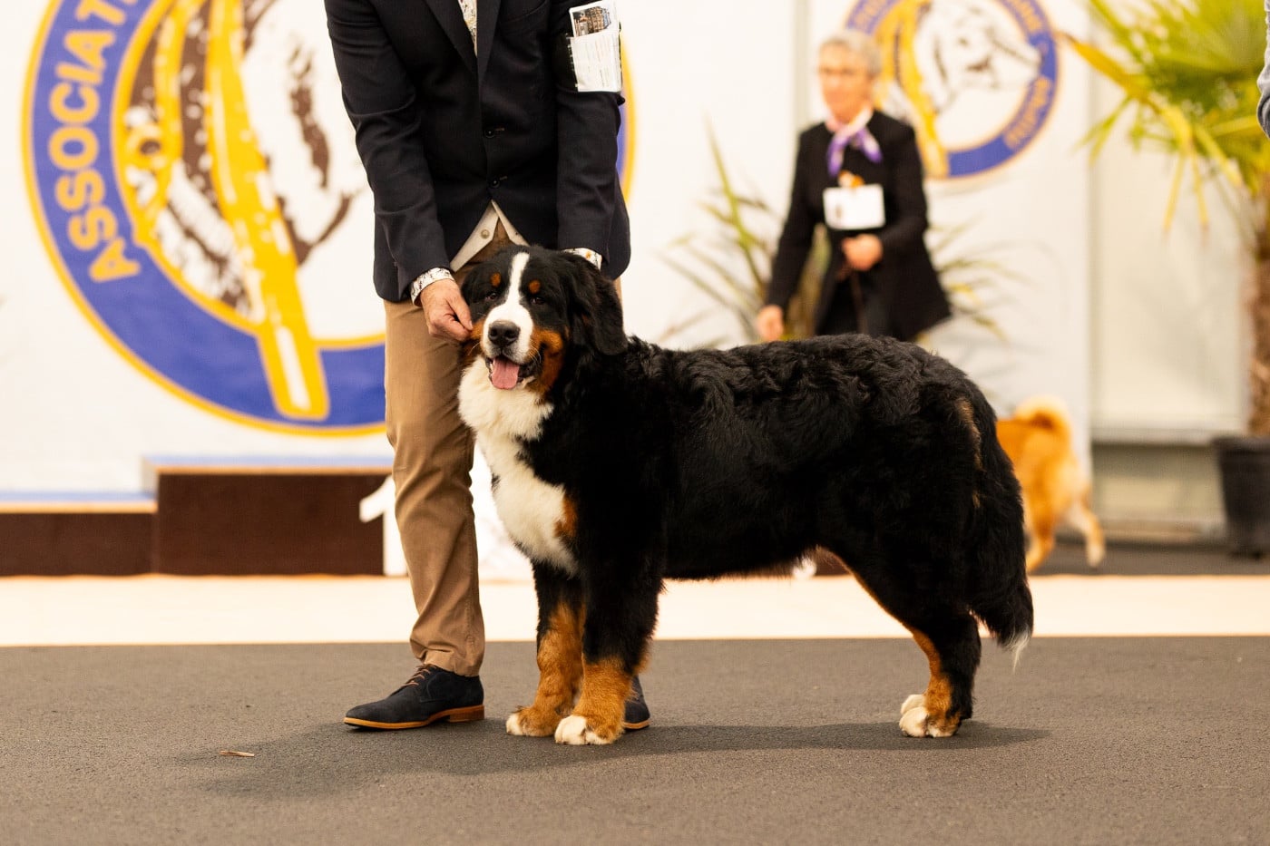 Publication : Du Verger Des Beaurepaires Auteur : M Barrault