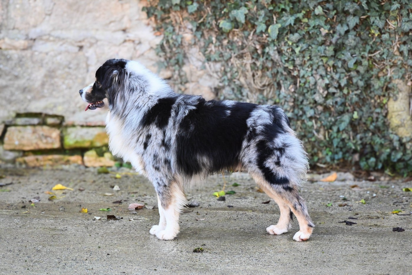 Publication : Domaine des Perles de la Riviera