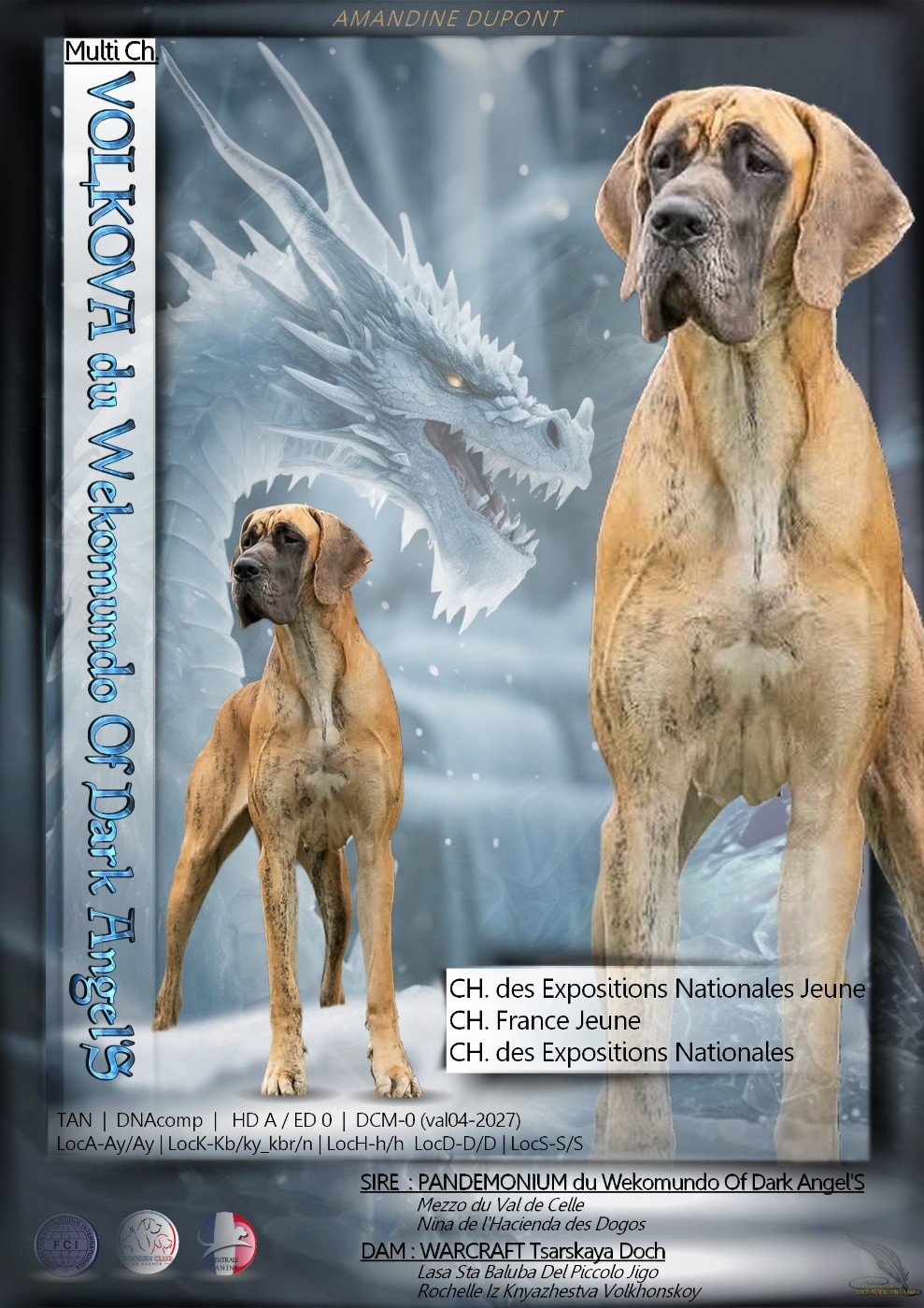 Publication : Du Wekomundo Of Dark Angel's