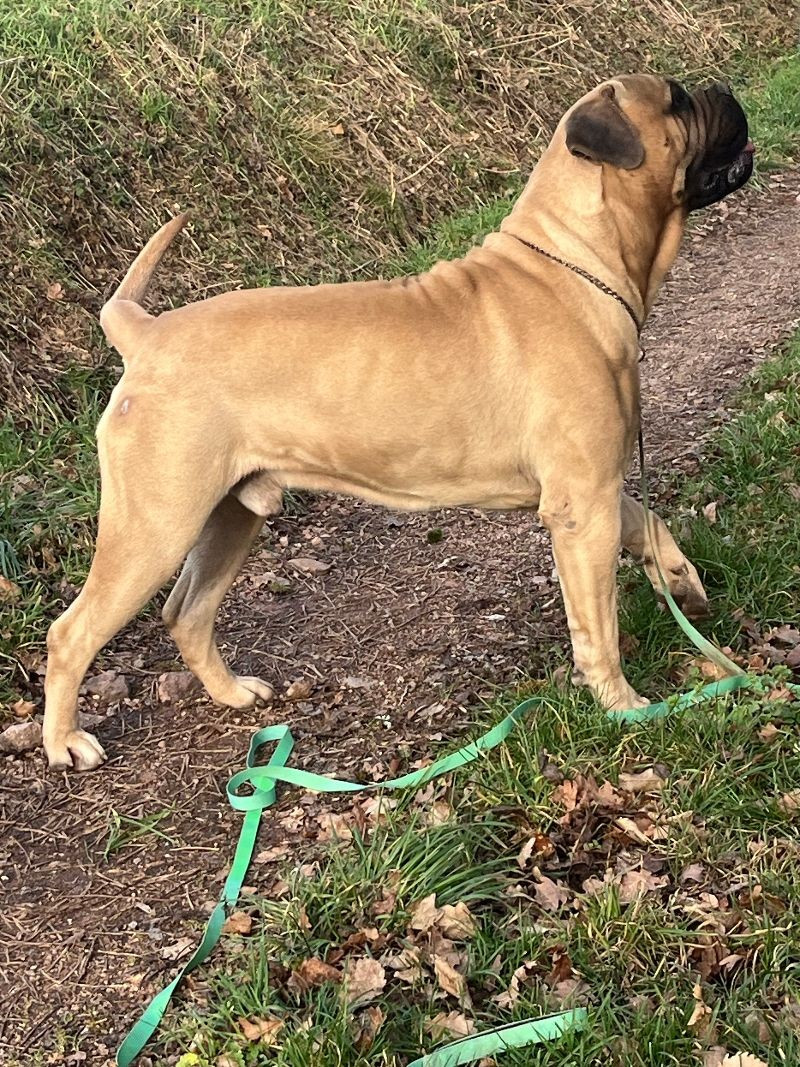 Publication : Nikofarm Star