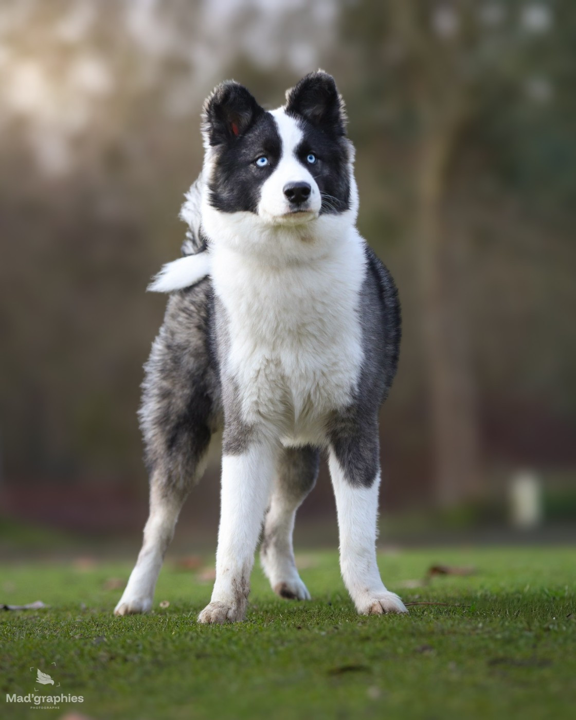 Publication : Des Echos Du Musher 