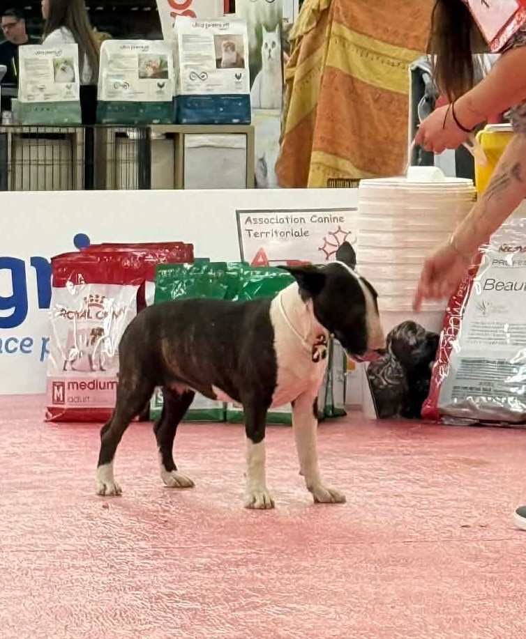 Publication : Des Minis De Ryosie 