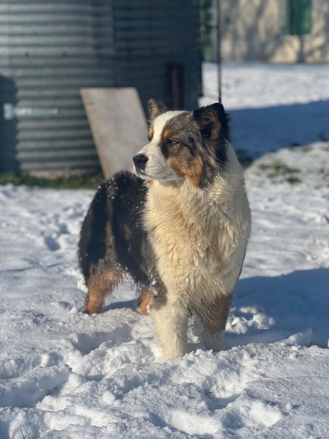 Publication : du clos du lambon 