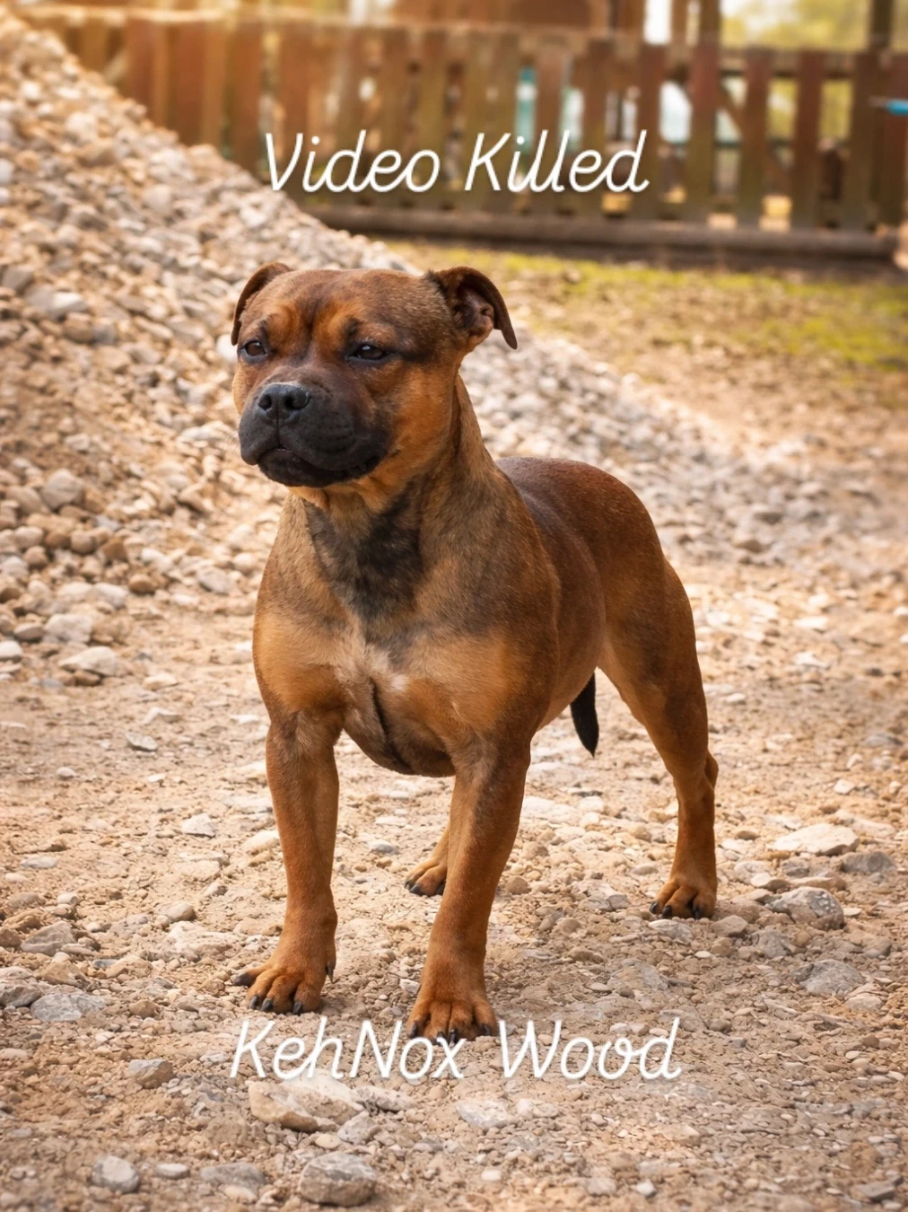 Publication : Kehnox Wood