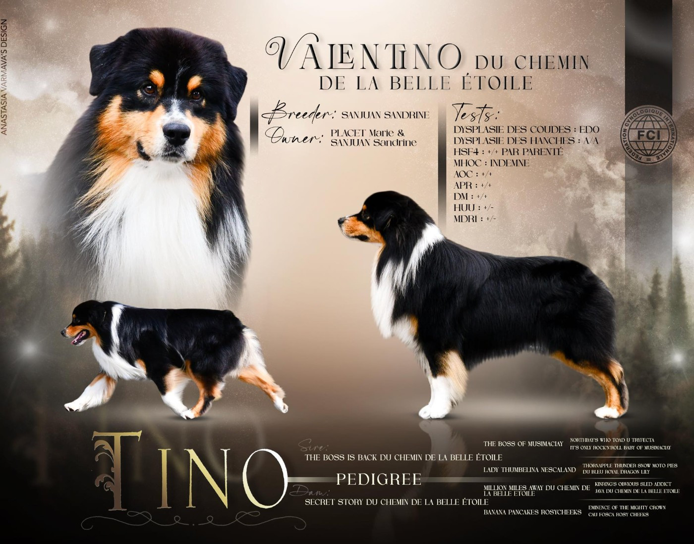 Publication : du chemin de la belle etoile 