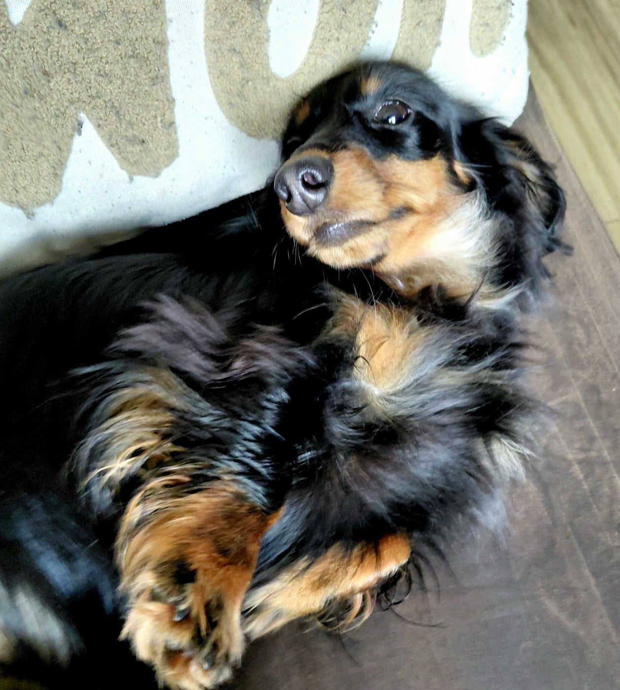 Publication : Ever Single