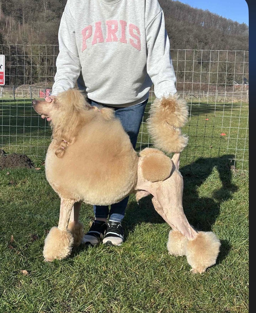 Publication : Kasa Give 'n' Kiss 