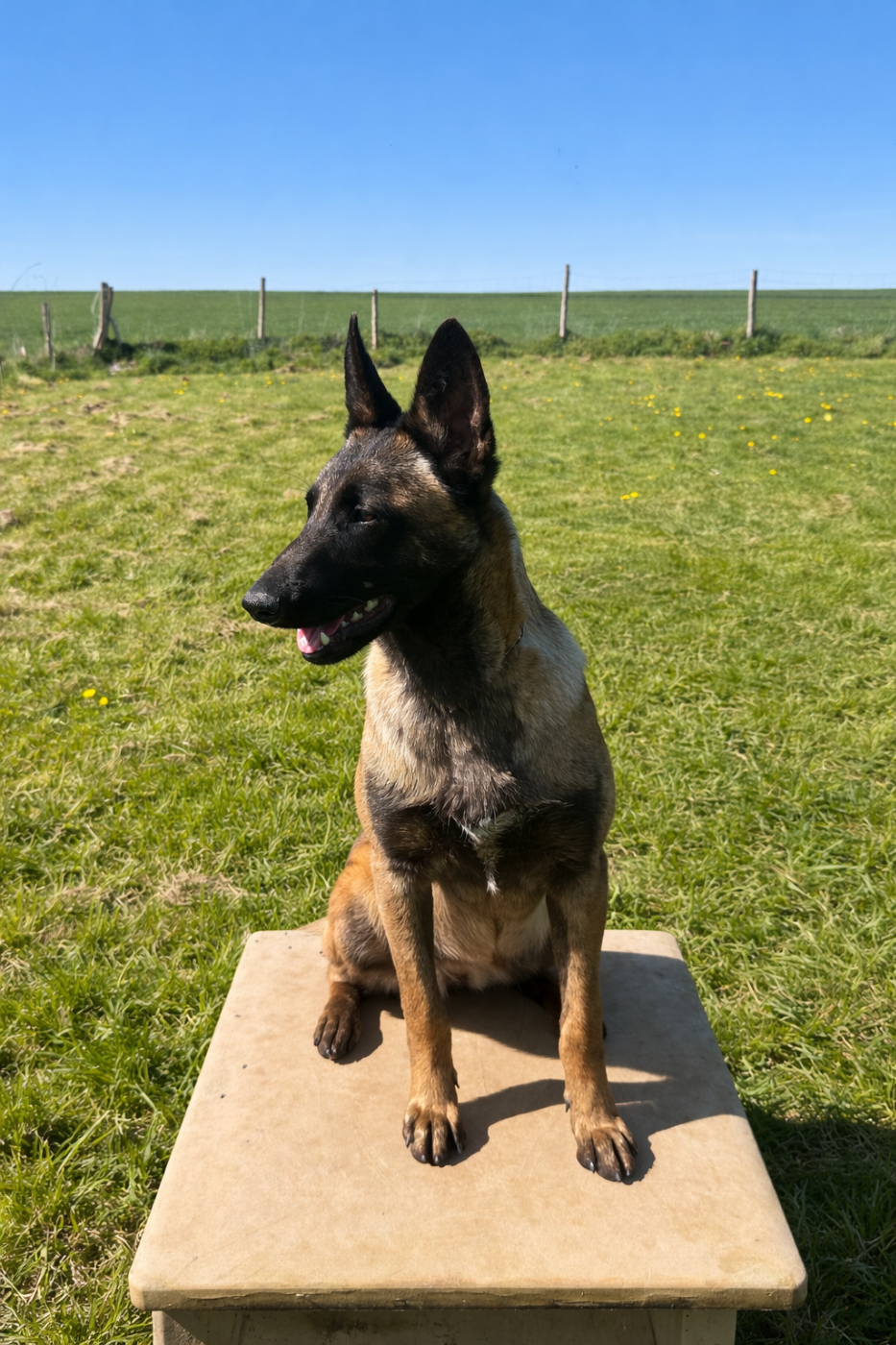 Publication : Du Hameau Des Nours 