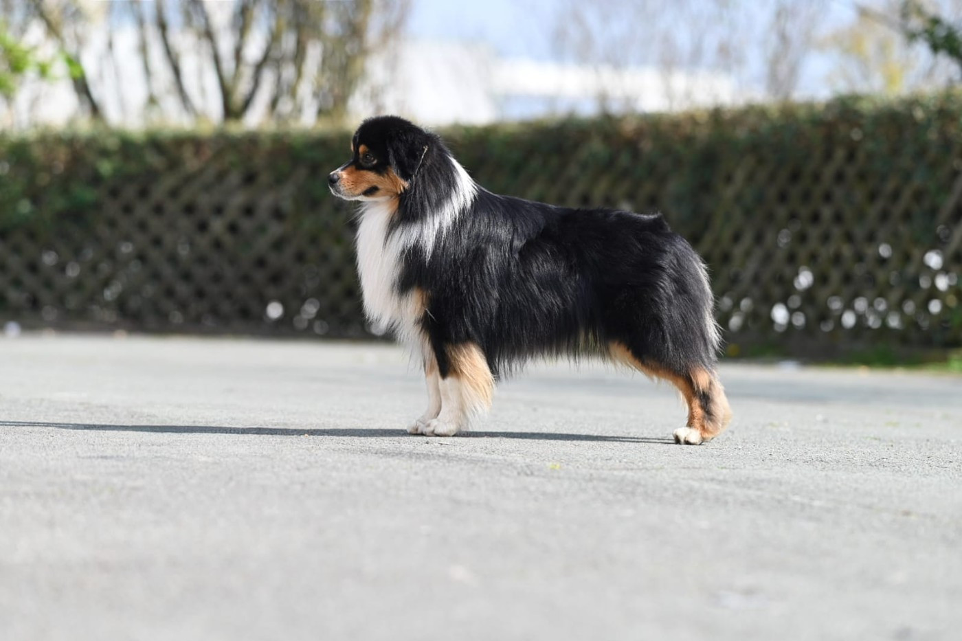 Publication : du chemin de la belle etoile 