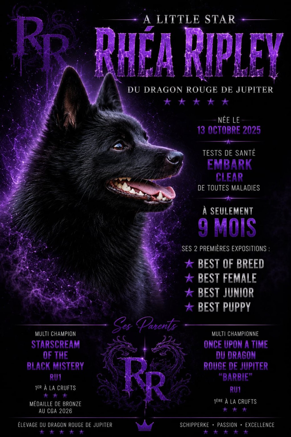 Publication : du dragon rouge de jupiter  