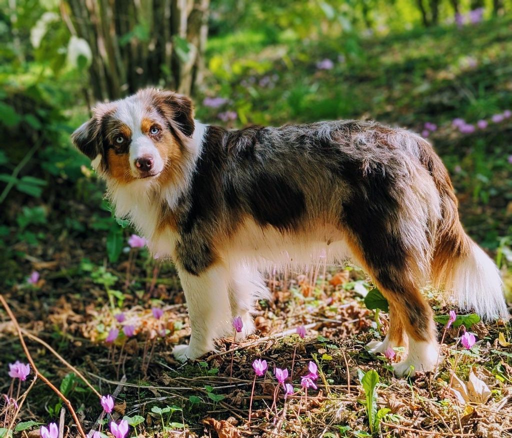 Publication : De La Vallée Des Miracles 