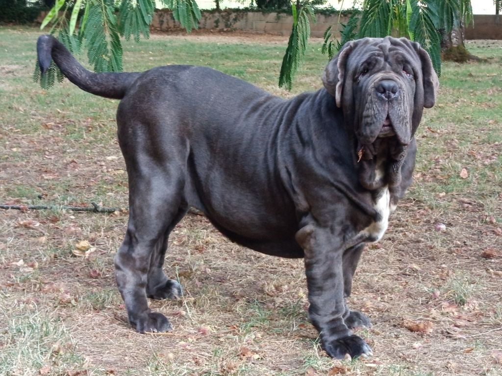 Publication : des marais aux sortileges Auteur : Laetitia Giraud