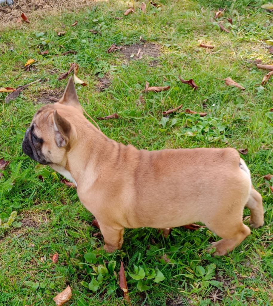 Publication : du clos des Obiers 