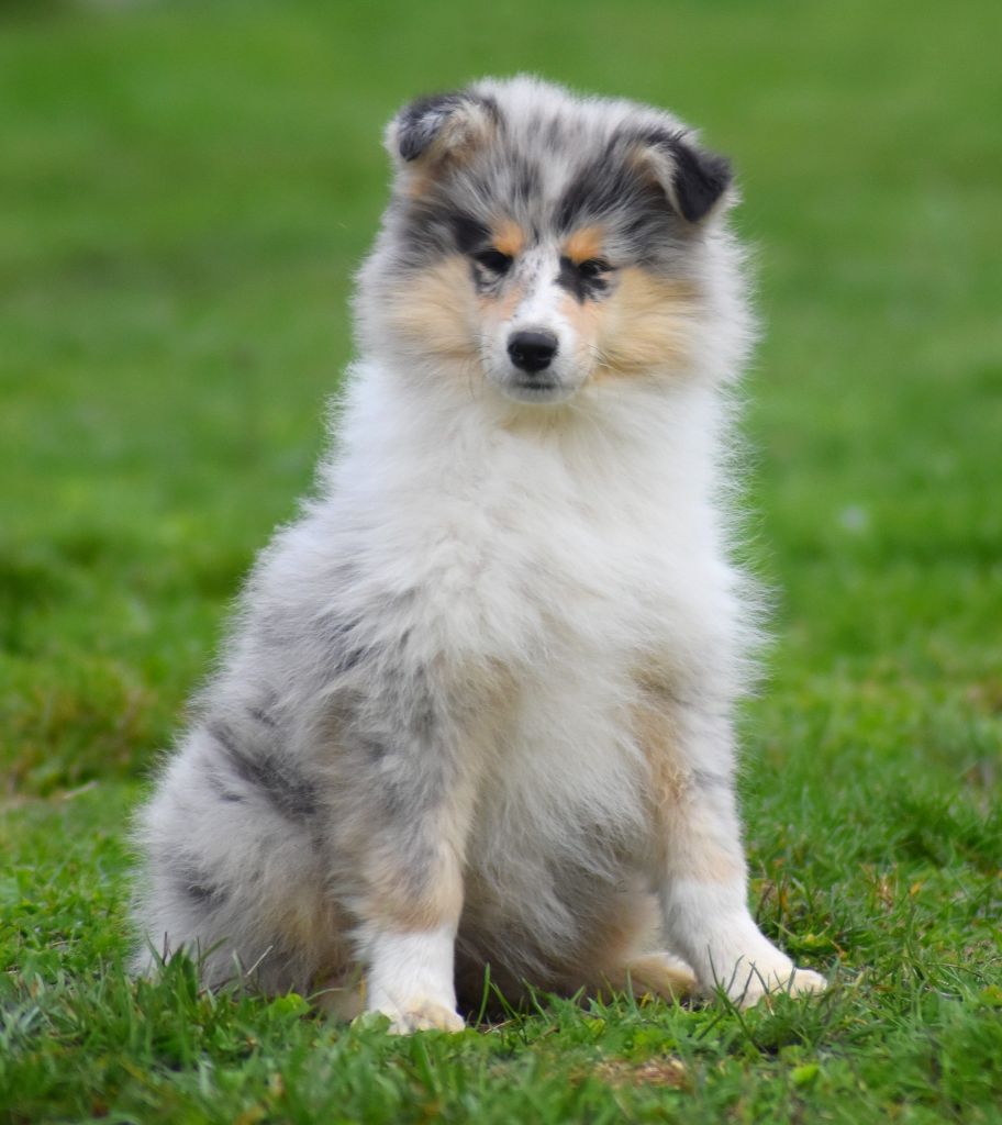 Publication : du domaine des Emeraudes