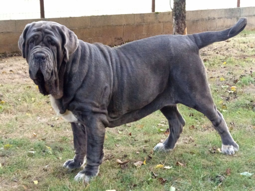 Publication : des marais aux sortileges Auteur : Laetitia Giraud