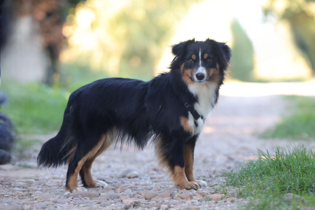 Publication : des Gardians des Fiolles 