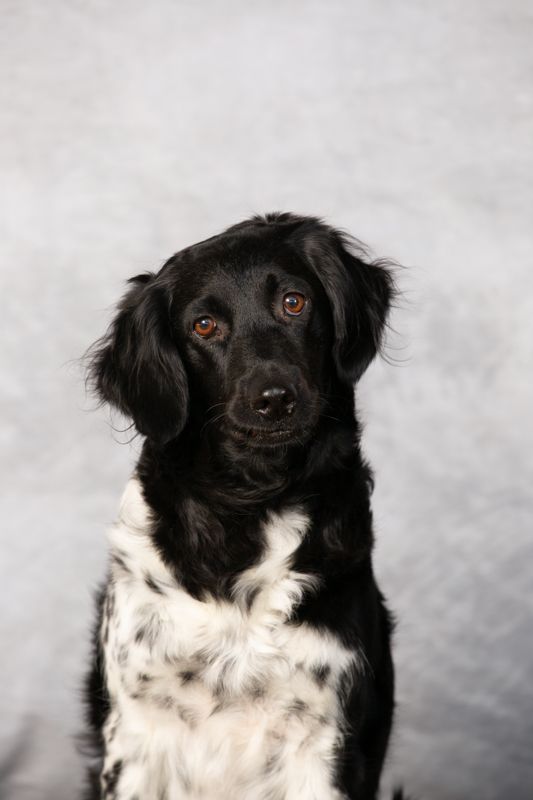 Publication : Des Grandes-duchesses De Pouchkine 