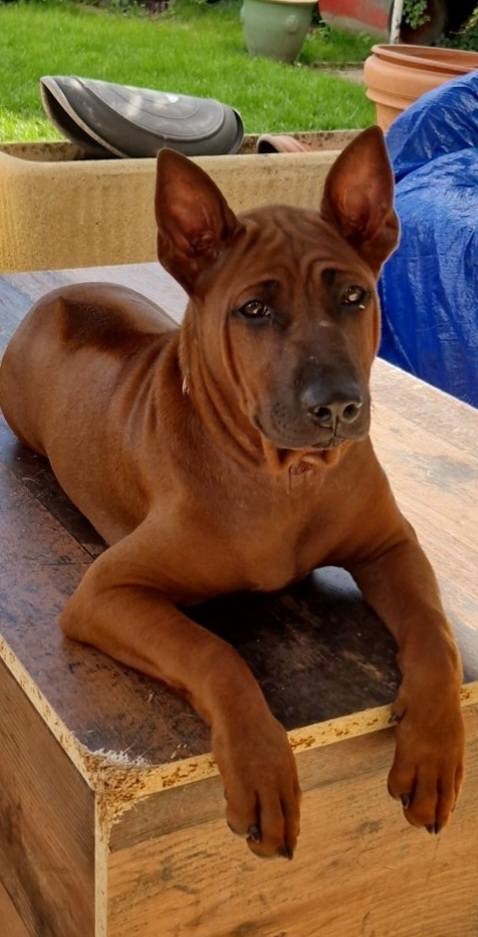 Publication : High Secret